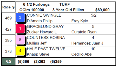 Picture example of the racecard layout.